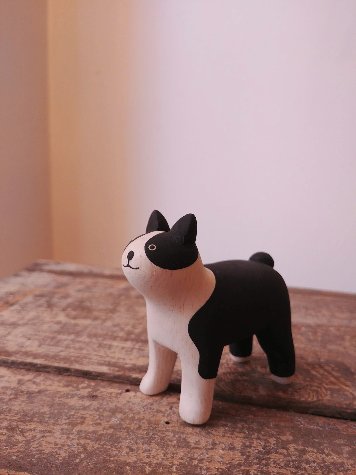 bouledogue T-lab