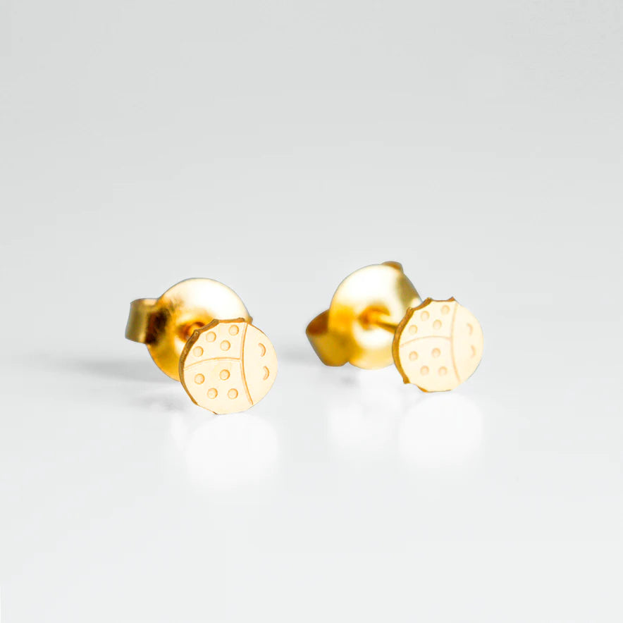 Petites puces coccinelles